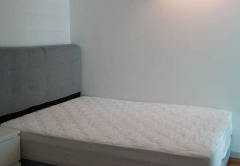 The Light Collection III