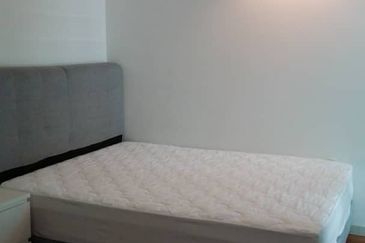 The Light Collection III