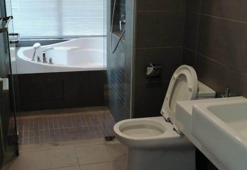 The Light Collection III