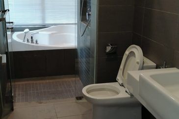 The Light Collection III