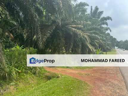 Muar Agricultural Land (Palm Oil Plantation) For Sale, Johor, Muar