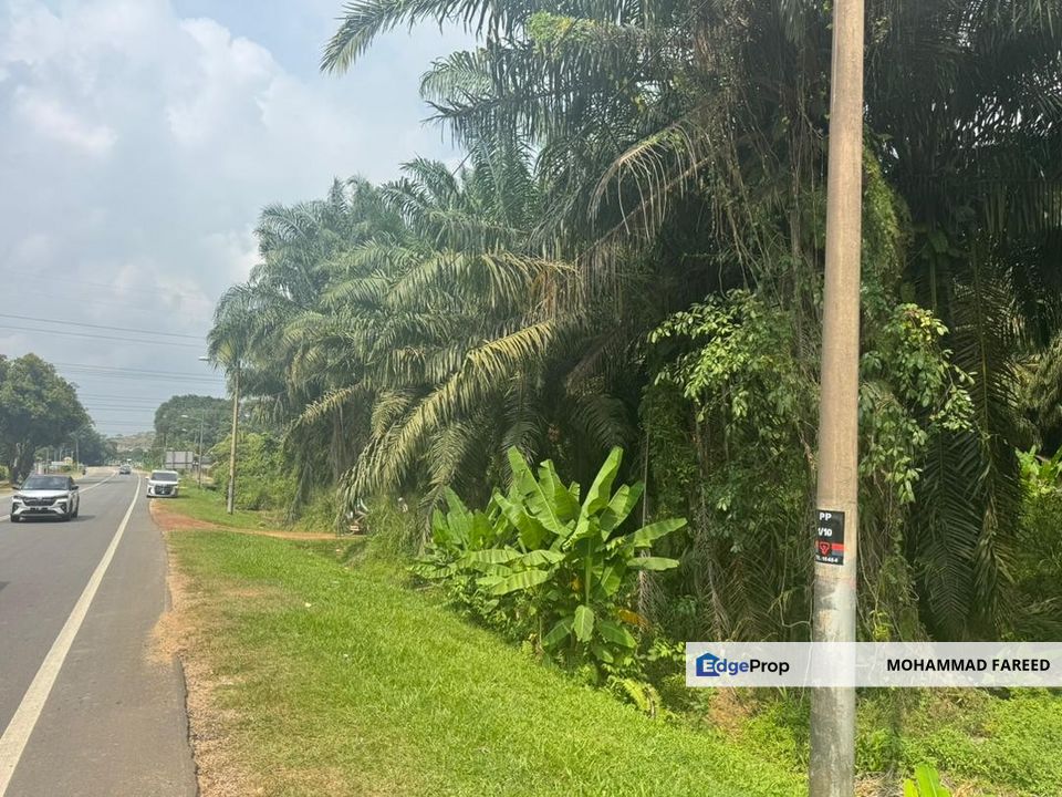 Muar Agricultural Land (Palm Oil Plantation) For Sale, Johor, Muar