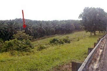 Nilai ELITE Highway Development Land For Sale