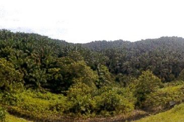 Nilai ELITE Highway Development Land For Sale