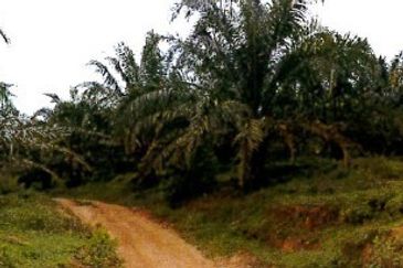 Nilai ELITE Highway Development Land For Sale