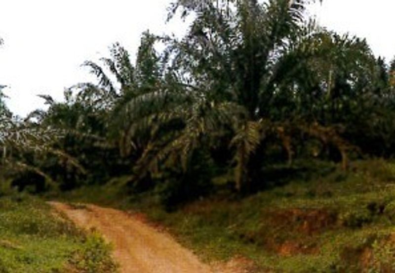 Nilai ELITE Highway Development Land For Sale