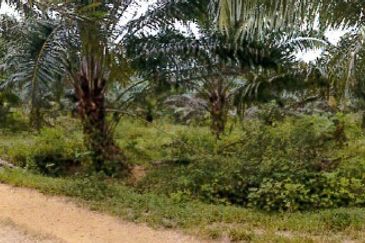Nilai ELITE Highway Development Land For Sale