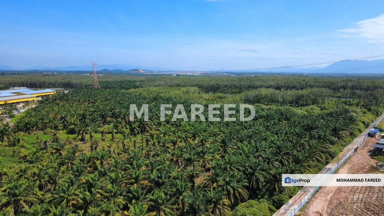 Industrial Land For Sale Padang Meha Kulim, Kedah, Karangan