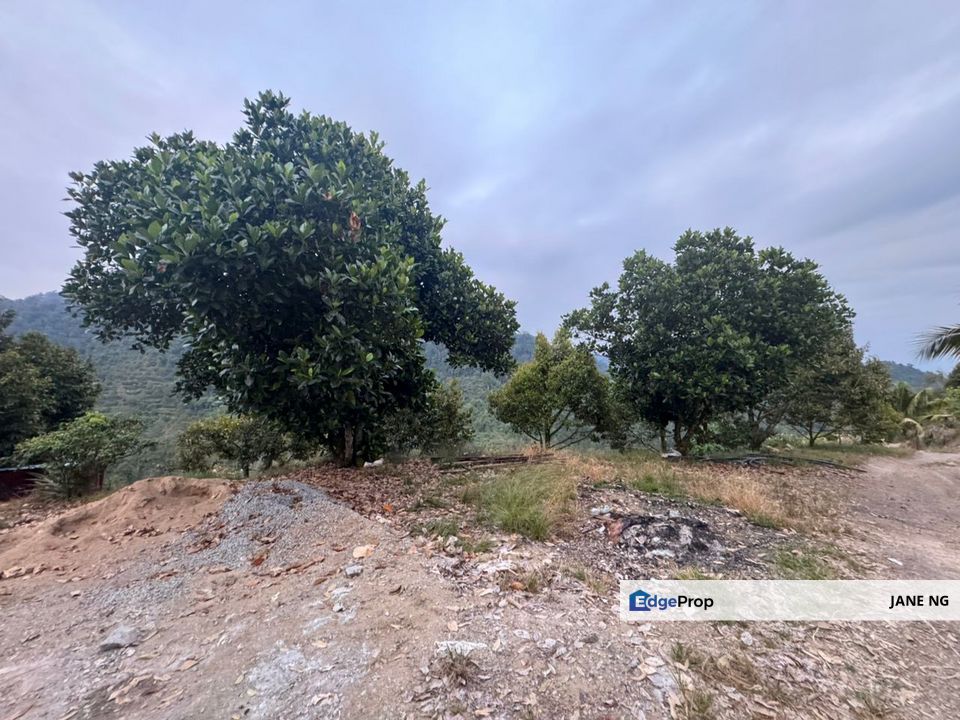 KARAK FREEHOLD DURIAN ORCHARD FOR SALE, Pahang, Bentong