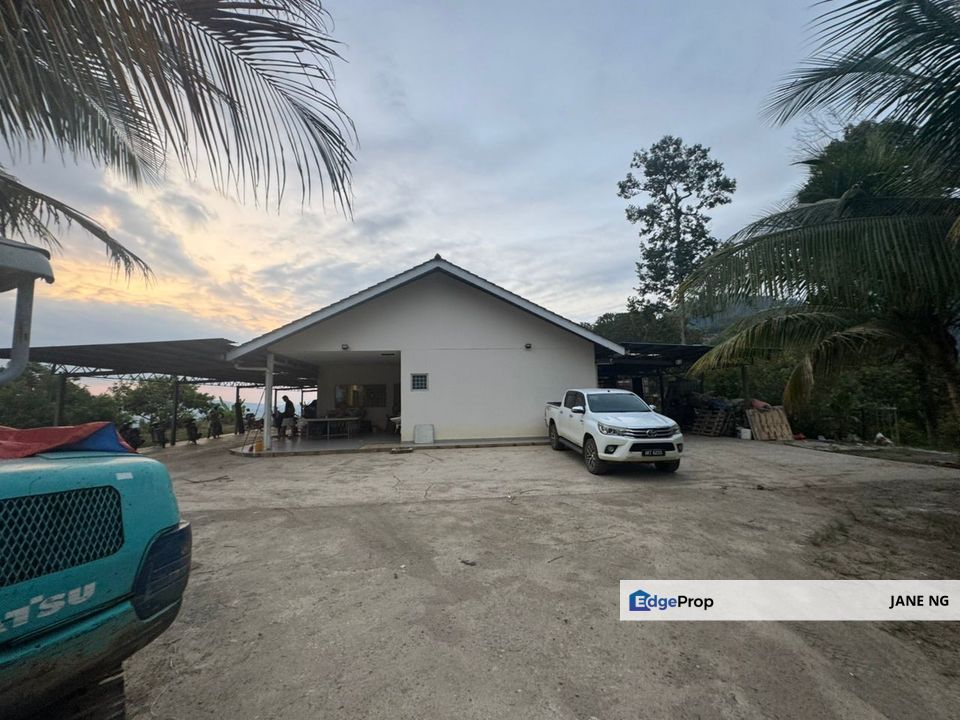 KARAK FREEHOLD DURIAN ORCHARD FOR SALE, Pahang, Bentong