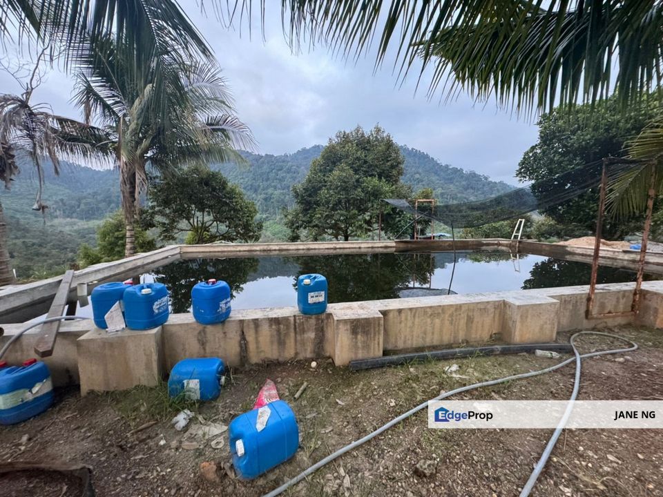 KARAK FREEHOLD DURIAN ORCHARD FOR SALE, Pahang, Bentong