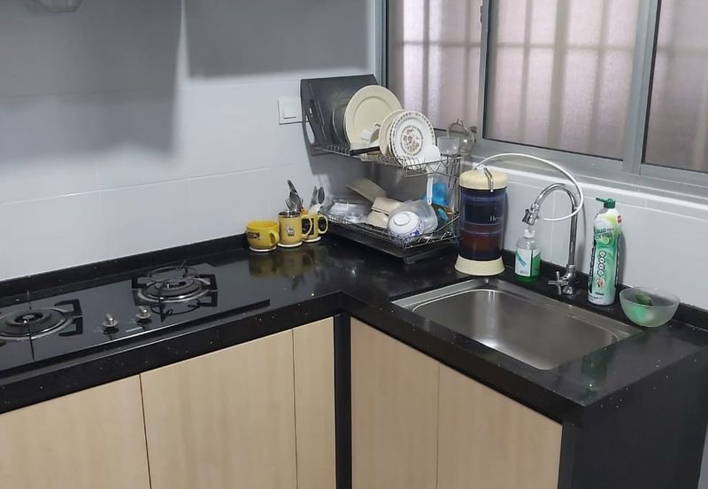 1120 Park Avenue Petaling Jaya Well Maintained Unit For Sale