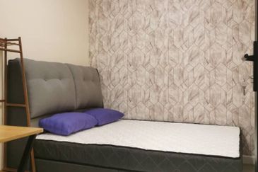 Cubic Botanical (Residensi Rimba)