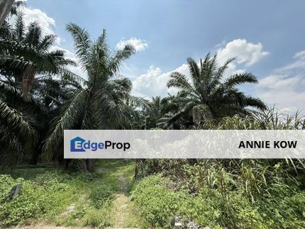 Klebang Ipoh Agricultural Land For Sale, Perak, Chemor