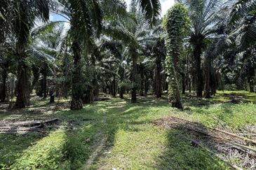 Bandar Baru Sri Klebang