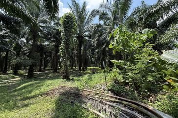 Bandar Baru Sri Klebang