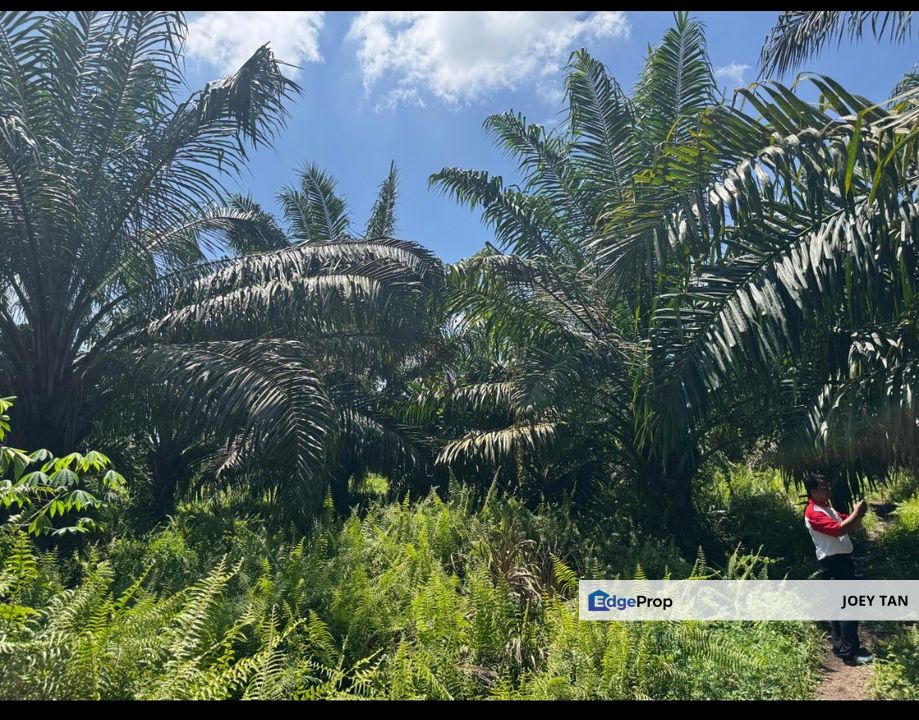 5 Acres Agriculture Land, Sri Cheeding  , Selangor, Banting