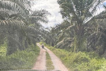 Kampung Sri Cheeding