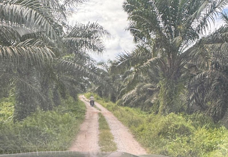 Kampung Sri Cheeding