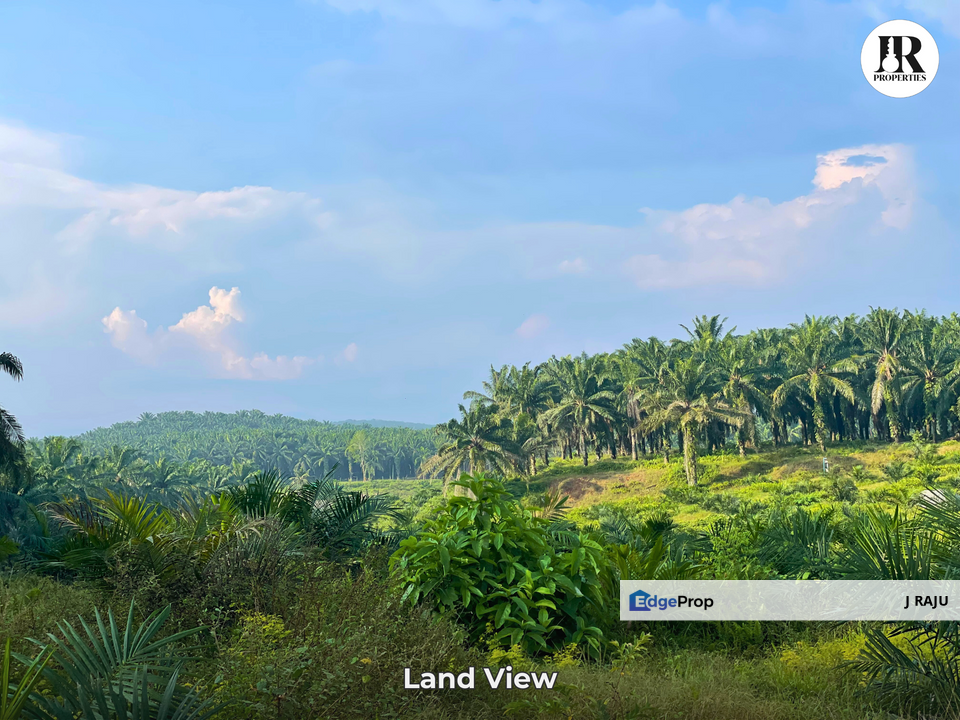 Tanjung Tualang, Batu Gajah, Perak 347 Acre Palm Oil Plantation Land For Sale, Perak, Batu Gajah