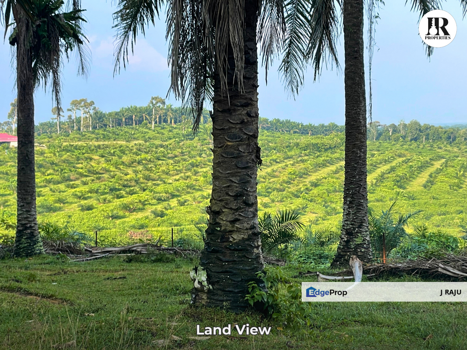 Tanjung Tualang, Batu Gajah, Perak 347 Acre Palm Oil Plantation Land For Sale, Perak, Batu Gajah
