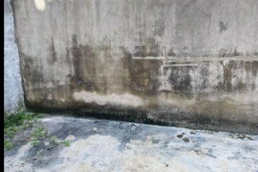 Taman  Arkid  Menglembu