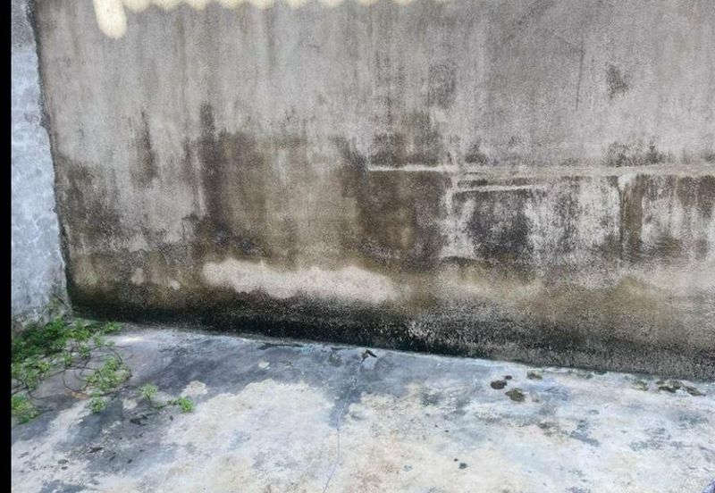 Taman  Arkid  Menglembu