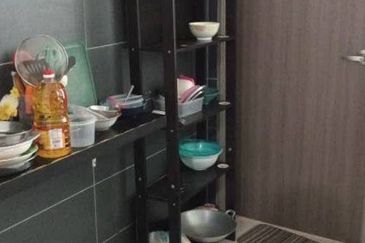 SKS Habitat Apartment, Larkin