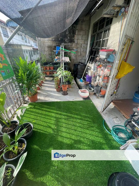 Taman Scientex / Pasir Gudang / Masai / Seri Alam / Johor Bahru / 2 Storey Terrace / RM430K – International Lot Freehold!, Johor, Pasir Gudang