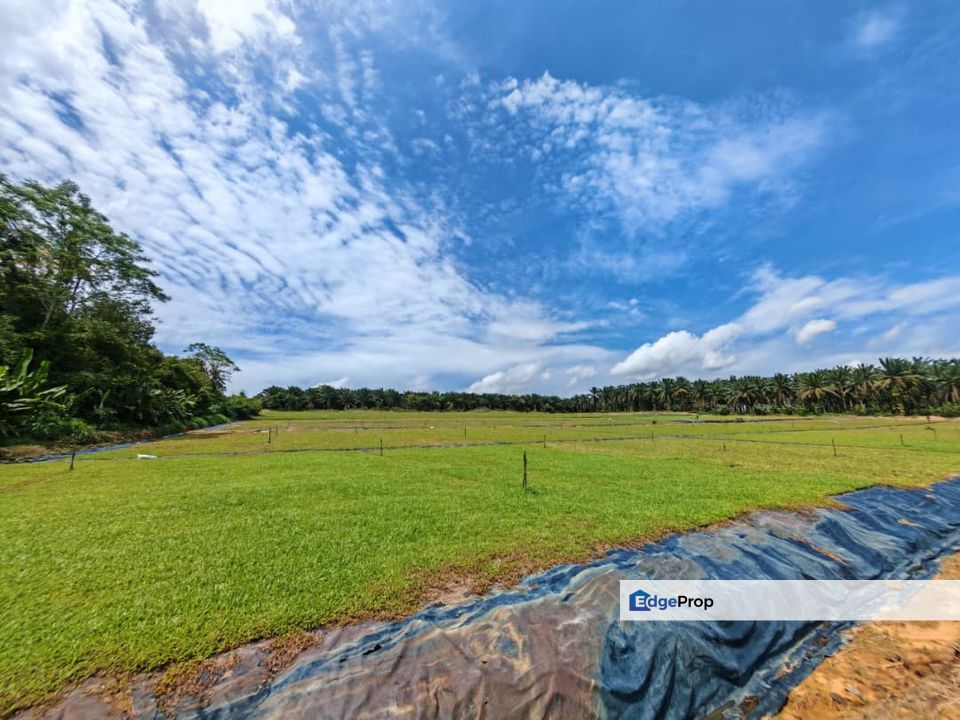 Sungai Tiram Ulu Tiram / Medium Industrial Land / 4.77 Acres – Freehold, Flat & Square Shape‼️, Johor, Ulu Tiram