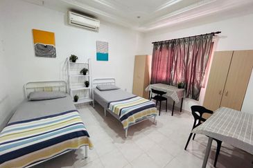 Evergreen Park Scot Pine