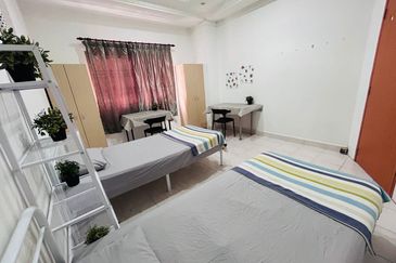 Evergreen Park Scot Pine