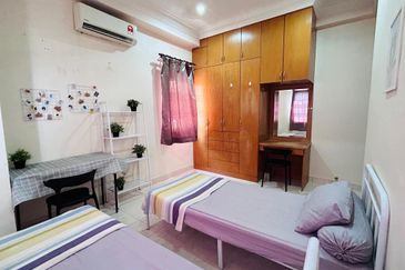 Evergreen Park Scot Pine