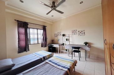 Evergreen Park Scot Pine