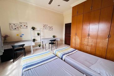 Evergreen Park Scot Pine