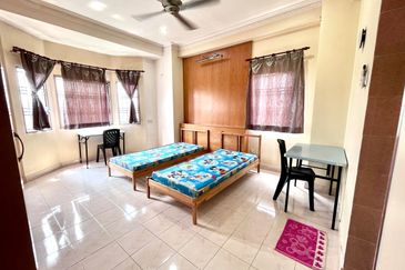 Evergreen Park Scot Pine