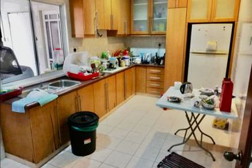 Evergreen Park Scot Pine