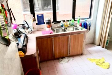 Evergreen Park Scot Pine