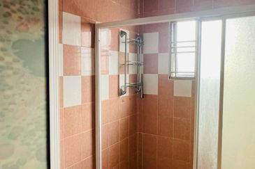 Evergreen Park Scot Pine