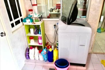 Evergreen Park Scot Pine