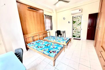 Evergreen Park Scot Pine