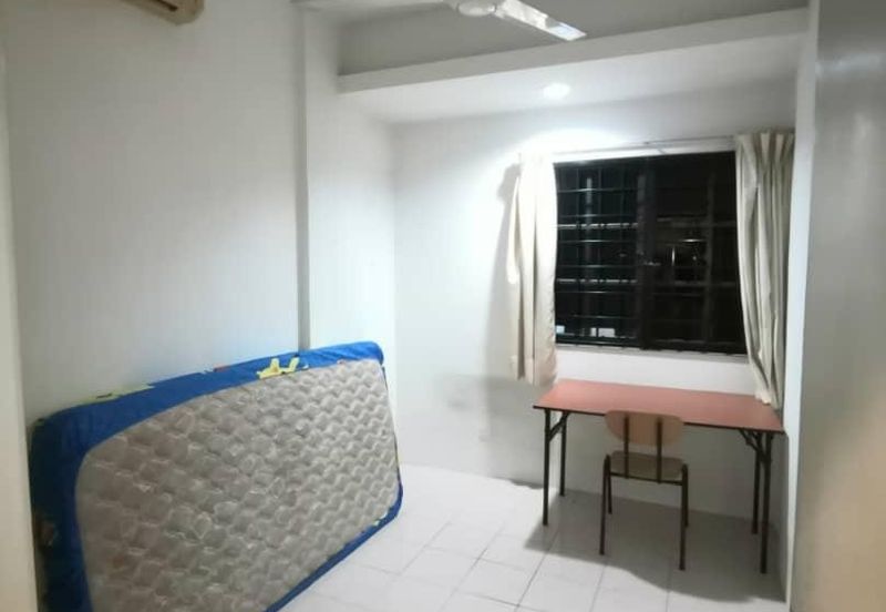 Evergreen Park Acorn and Hazel