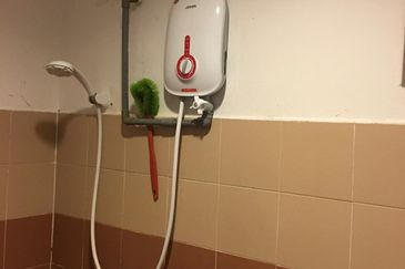 Evergreen Park Acorn and Hazel