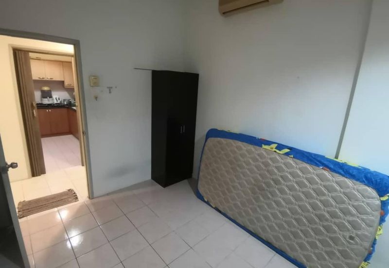 Evergreen Park Acorn and Hazel