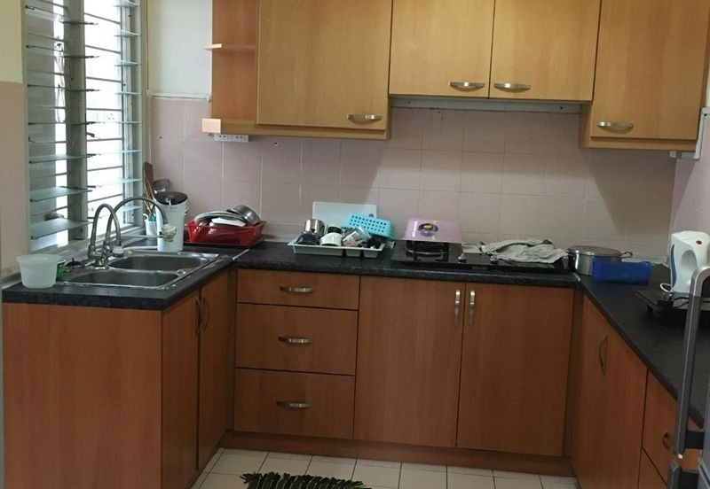 Evergreen Park Acorn and Hazel