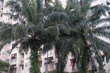 Mutiara Condominium, Taman Bukit Indah