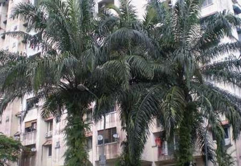 Mutiara Condominium, Taman Bukit Indah