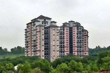 Saujana Aster, Precinct 11