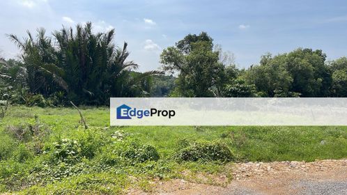 Agricultural Land for Rent Telok Kapas Klang Strategic Location, Selangor, Klang