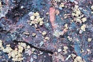 KELANTAN 400ACRE IRON ORE LAND